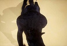 Pov Two Gay Wolves Fucking - Wildlife