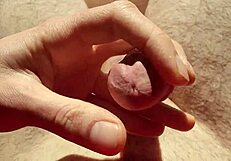 edging flaccid cock with precum in natural light