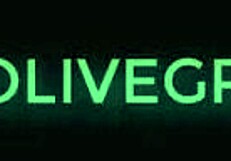 Riley Reid's Intense Hentai Passion