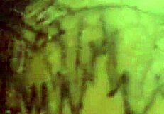 I throatfucked a hot mature Latina deeply