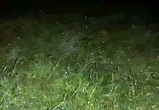 We snuck off to this creepy abandoned spot for dirty talk and sex... oops, I mean s-sex!