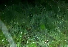 We snuck off to this creepy abandoned spot for dirty talk and sex... oops, I mean s-sex!