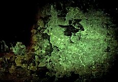 पुरानी हॉट इरोटिक कॉमिक ड्रॉइंग्स