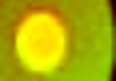 WITCH HUNTER MISSION: CAN YOU GET ALL CLASSIC HENTAI GIRLS?