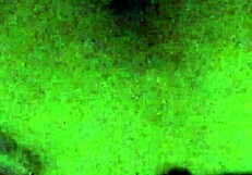 white and black team up on asian twink's body