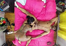 Mrsfeedme gets fucked dirty by tae lit with ripped clothes!