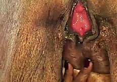 रोडसाइड ब्रेक बाद चूत चाटी लंड चूसा