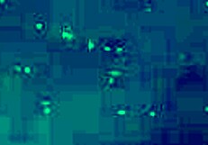 i'm hunting milfs in this cartoon game where saturn gets horny on the table