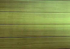 bishoku-ke no rule 01 esp compilation at work