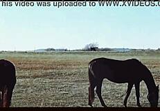 Oklahoma Farm Sex in Country Music Video
