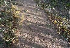 Intriguing public display: athletic hottie gets ass fucked doggystyle in city park crowd