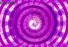 wet panties and sissy training with a teasing ladyboy twist