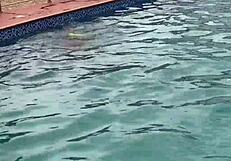 after the pool, i oiled up that curvy babe