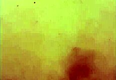 xl flint and sleipnir used with a condom for intense monster action. Perfect fit for wild rides.