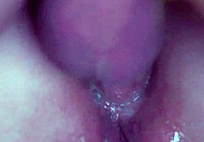 Watch This Lewd Male Fuck His Milf's Ass To Mouth With Dirty Talk!