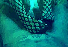 sexy footjob in nylons and leggings