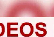 Amateur Iranian BBW Pussy Closeup During Raw Sex with Bulgarian Partner