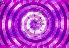 Lucky Teaser Drives Me Wild with Femdom Jerk Off Instructions