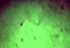 Risky Sex On Public Beach With Big Ass Girlfriend We Almost Got Caught Vlog N�1