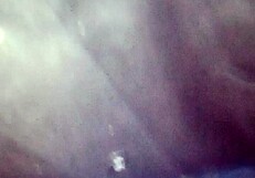 Detailed anal sex featuring big tits and small 18+ tits during assfucking