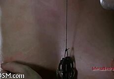 सेक्सी कपल जंगली फकिंग और ब्लोजॉब से गीली चूत पर मजा पहुंचाता है