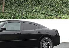 Allison Lane, 'Did you cum inside me after doggystyle?'