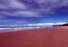 Eu e minha amiga tiramos o biquíni na praia da bahia e demos pra todos os machos