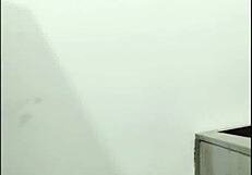 have you seen videl with such a big cock?