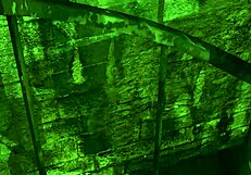 Blonde in boxing gloves