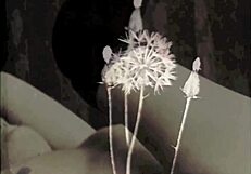 the wonderful world of vintage pornography vintage hairy milf