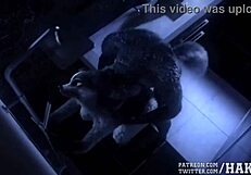 Detailed furry ass fucking with big cock to leno brega music.