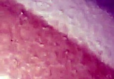 can't deny morning fuck to horny latina with big natural tits