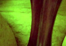 Indian wife endures brutal anal pain during anniversary holiday night