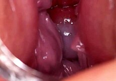 time for breeding in homemade setting