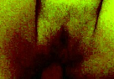 Young Latina in Homemade Video