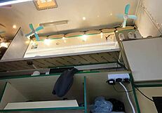 Hot young chick gets upskirt voyeured at work hidden cam