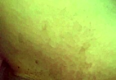 Feel those clitty vibrations until you finish?