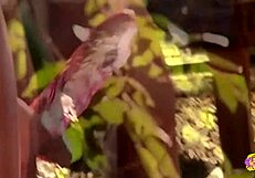 gorgeous thick lesbians use sex toy outdoors for mutual pleasure