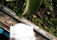 I'm So Lonely And Need Company Now!