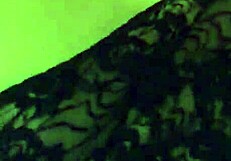 look at that beautiful face and hard cock on shemale stephanie clover