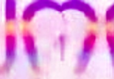 Sweet Madison Stil Caught Masturbating, Screams During First Double Anal!