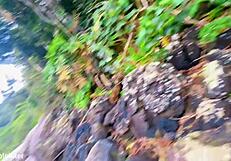 Fucking that blonde deliciously on the white beach, so hot and wild.