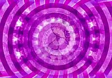 Exposed Sissification Training With Jerk Off Instructions