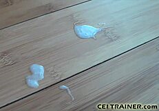 I’m Thrilled to Make You Our Bisexual Boy Toy