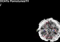 Tied submissive wife awaits stranger's rough fucking