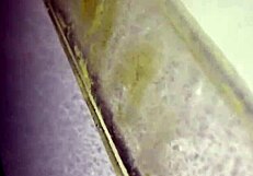 Thickdickbandit gets sucked and swallowed by bbw at interracial gloryhole