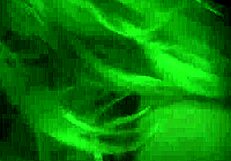 Trampling Domination: Unless You're From The Sixties And Dig That