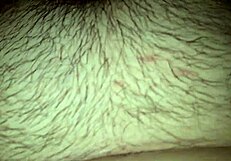 Wife’s juicy wet pussy gets worked with toys and cock for messy cum.