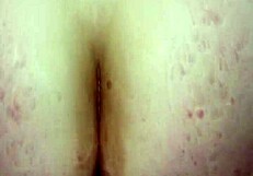 Deepthroat Blonde Girlfriend Sucks Dick Then Backrides with Fat Ass