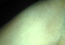 แหกหีสาวนักศึกษาเอาควยปลอมยัดรูแตดและเย็ดหีจนน้ำแตก With Tight Shaved Pussy.